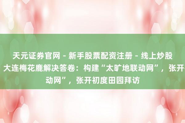 天元证券官网 - 新手股票配资注册 - 线上炒股杠杆如何开户 大连梅花鹿解决答卷：构建“太旷地联动网”，张开初度田园拜访
