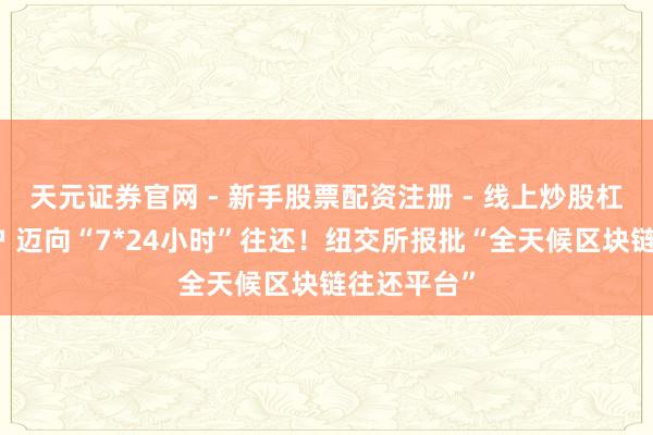 天元证券官网 - 新手股票配资注册 - 线上炒股杠杆如何开户 迈向“7*24小时”往还！纽交所报批“全天候区块链往还平台”