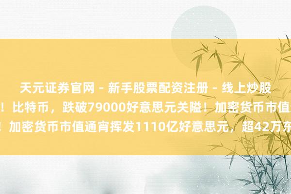 天元证券官网 - 新手股票配资注册 - 线上炒股杠杆如何开户 一刹大跌！比特币，跌破79000好意思元关隘！加密货币市值通宵挥发1110亿好意思元，超42万东说念主爆仓