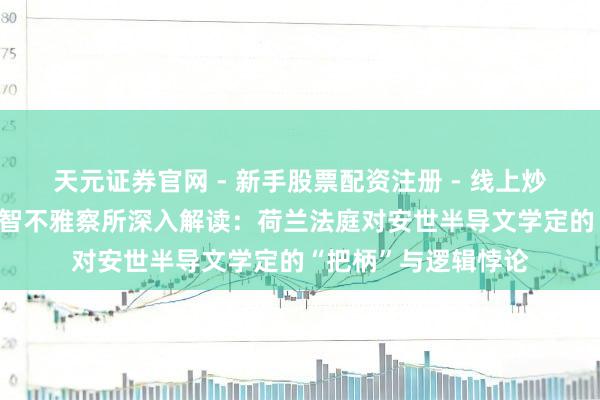 天元证券官网 - 新手股票配资注册 - 线上炒股杠杆如何开户 心智不雅察所深入解读：荷兰法庭对安世半导文学定的“把柄”与逻辑悖论