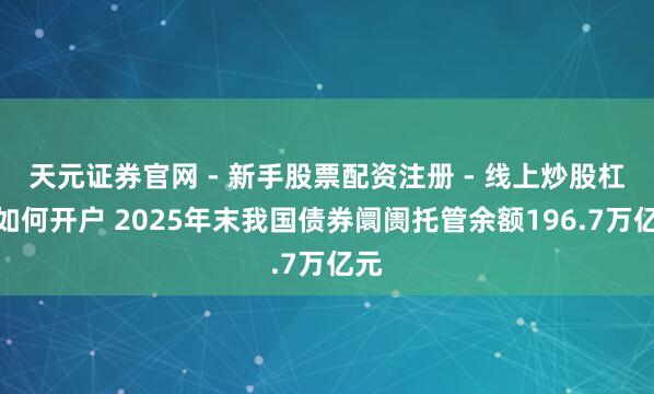 天元证券官网 - 新手股票配资注册 - 线上炒股杠杆如何开户 2025年末我国债券阛阓托管余额196.7万亿元