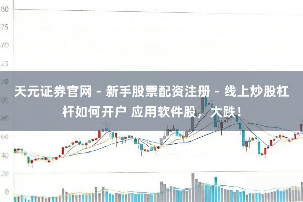 天元证券官网 - 新手股票配资注册 - 线上炒股杠杆如何开户 应用软件股，大跌！