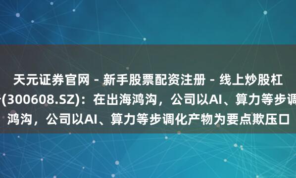 天元证券官网 - 新手股票配资注册 - 线上炒股杠杆如何开户 念念特奇(300608.SZ):在出海鸿沟,公司以AI、算力等步调化产物为要点欺压口