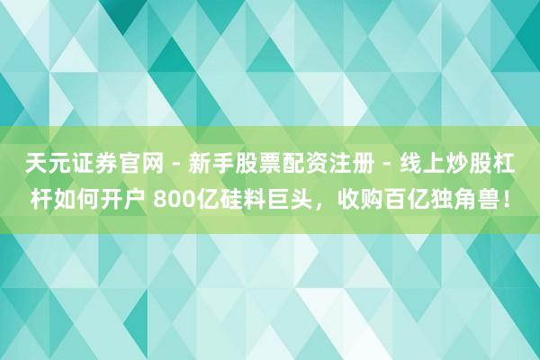 天元证券官网 - 新手股票配资注册 - 线上炒股杠杆如何开户 800亿硅料巨头，收购百亿独角兽！