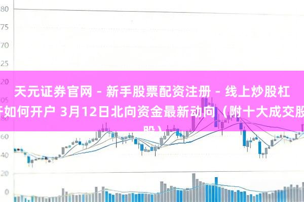 天元证券官网 - 新手股票配资注册 - 线上炒股杠杆如何开户 3月12日北向资金最新动向（附十大成交股）
