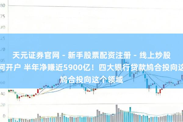 天元证券官网 - 新手股票配资注册 - 线上炒股杠杆如何开户 半年净赚近5900亿！四大银行贷款鸠合投向这个领域