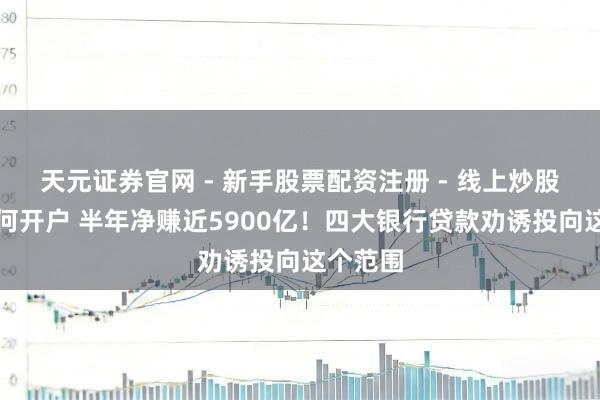 天元证券官网 - 新手股票配资注册 - 线上炒股杠杆如何开户 半年净赚近5900亿！四大银行贷款劝诱投向这个范围
