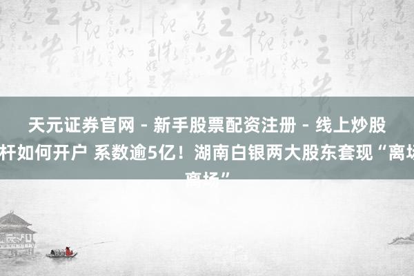 天元证券官网 - 新手股票配资注册 - 线上炒股杠杆如何开户 系数逾5亿！湖南白银两大股东套现“离场”