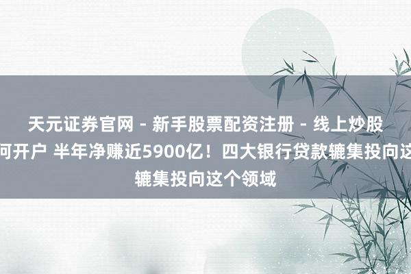 天元证券官网 - 新手股票配资注册 - 线上炒股杠杆如何开户 半年净赚近5900亿!四大银行贷款辘集投向这个领域