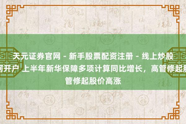 天元证券官网 - 新手股票配资注册 - 线上炒股杠杆如何开户 上半年新华保障多项计算同比增长，高管修起股价高涨