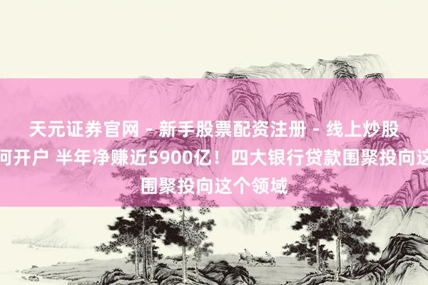 天元证券官网 - 新手股票配资注册 - 线上炒股杠杆如何开户 半年净赚近5900亿！四大银行贷款围聚投向这个领域