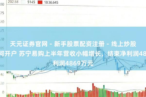 天元证券官网 - 新手股票配资注册 - 线上炒股杠杆如何开户 苏宁易购上半年营收小幅增长，结束净利润4869万元