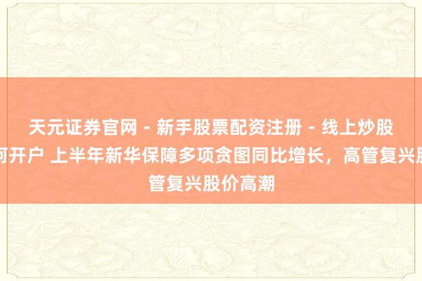 天元证券官网 - 新手股票配资注册 - 线上炒股杠杆如何开户 上半年新华保障多项贪图同比增长，高管复兴股价高潮