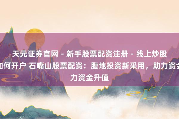 天元证券官网 - 新手股票配资注册 - 线上炒股杠杆如何开户 石嘴山股票配资：腹地投资新采用，助力资金升值